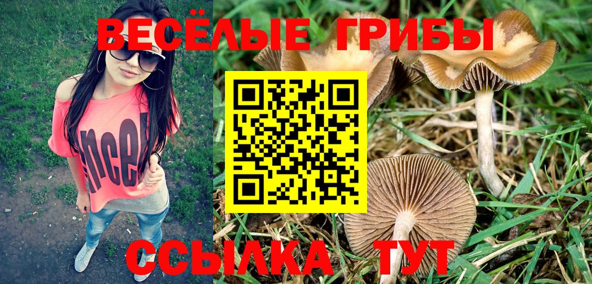 Шатура  Галлюциногенные грибы мухоморы  Вход с VPN 