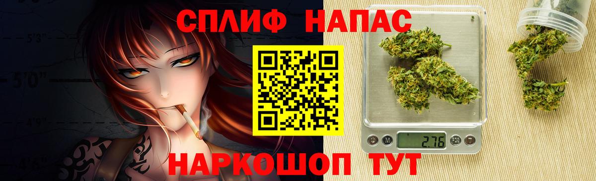Конопля гибрид Шатура